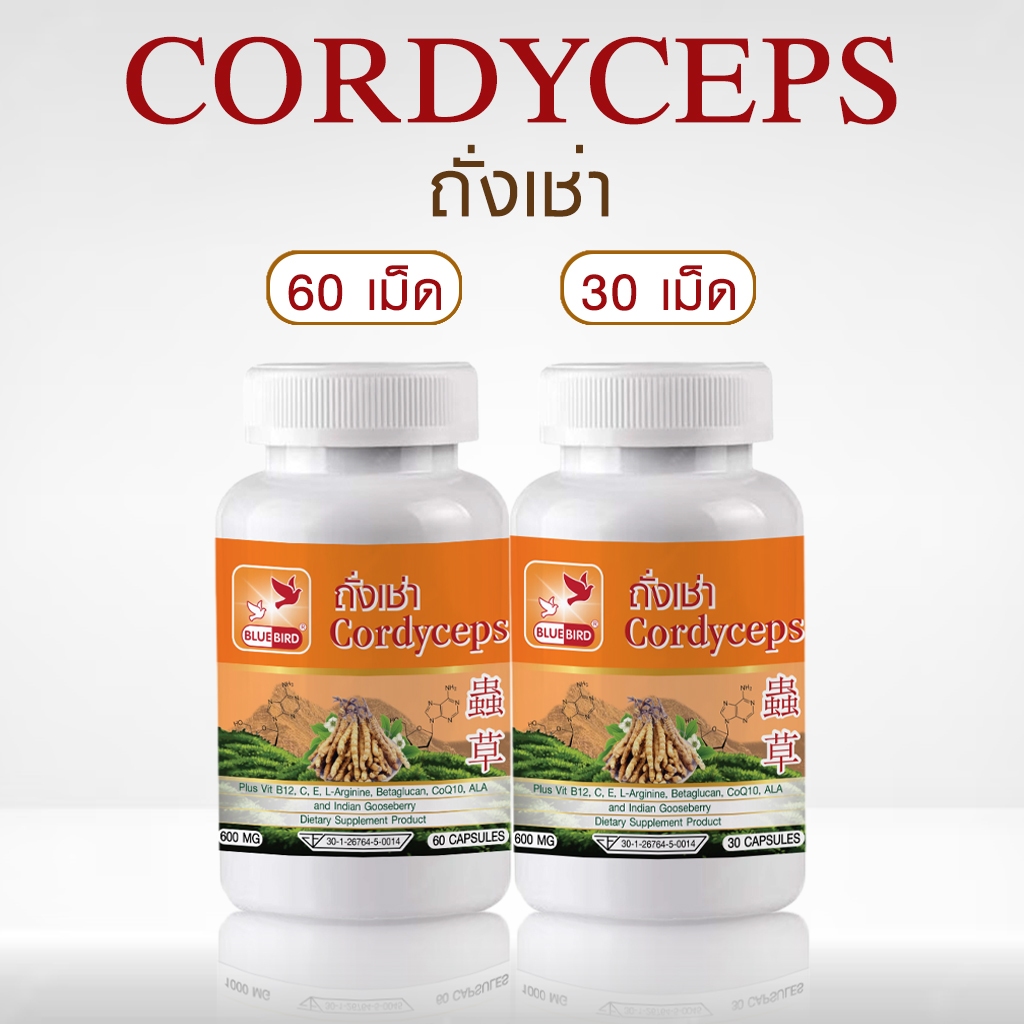 ถั่งเช่า ตังถั่งเช่า Cordyceps ตรา บลูเบิร์ด 600 มก 30,60 และ ถั่งเช่าสกัด Cordyceps Extract