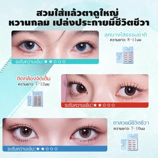 LASHSABAI ซีรีส์เกิร์ลกรุ๊ปเกาหลี ขนตาก้านแข็ง 5 คู่ ช่วยสร้างร่องตา สไตล์เกาหลีแท้ ธรรมชาติ กันน้ำ ใส่สบาย S101-109