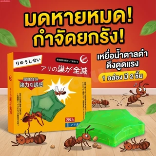 🐜กับดักมดแบบออลอินวัน🐜 เหยื่อล่อมด เจลกำจัดแมลงมด บรรจุแยกชิ้น 2 ชิ้น เพียงแปะไว้ตามมุมต่างๆ ของบ้านเพื่อกำจัดมด ปลอดภัย
