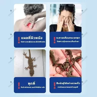 8 เม็ด เหยื่อดักจับจิ้งจก HB ปลอดภัยต่อสัตว์เลี้ยง ครีมกำจัดจิ้งจก ยากำจัดจิ้งจก