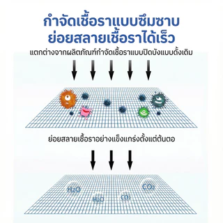 💦ขจัดเชื้อราได้ทันที❌เจลกำจัดเชื้อรา น้ำยาขจัดเชื้อรา กำจัดเชื้อรา คราบราดำละลายเอง ฉีดแล้วทิ้งไว้ ล้างออกได้เลย