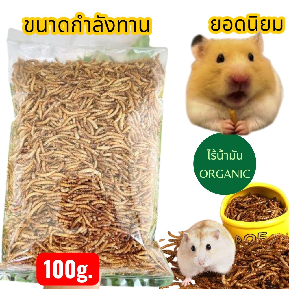 หนอนนก อบแห้ง ขนาด 100g.สำหรับเม่นแคระ ชูก้าไรเดอร์ เบียดดราก้อน หนูแฮมเตอร์