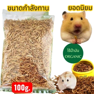 หนอนนกอบแห้ง 100 กรัม เป็นอาหารเสริมโปรตีนสำหรับสัตว์เลี้ยง มีโปรตีนที่สูง ไขมันต่ำ ส่งด่วนทุกวัน
