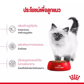 (หมดอายุ 9-2027) ROYAL CANIN KITTEN 2KG ลูกแมวอายุ 4-12 เดือน
