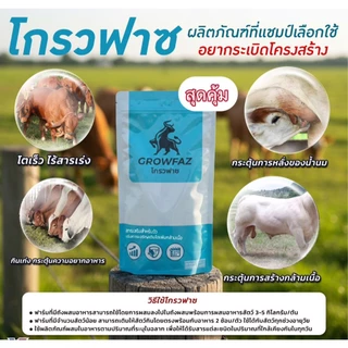 โกรวฟาซ พรีมิกซ์ (Growfaz premix) สารเสริมสำหรับวัว 1 ถุงบรรจุ 1 กิโลกรัม (ไร่วิทยา)