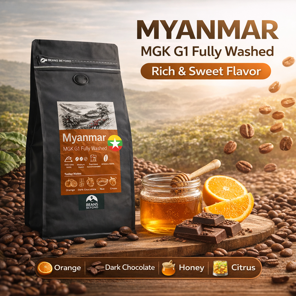เมล็ดกาแฟ คั่วกลาง Myanmar MGK G1 Fully Washed 500/200 ก. อาราบิก้า 100% เมล็ดกาแฟพม่า Beans Beyond