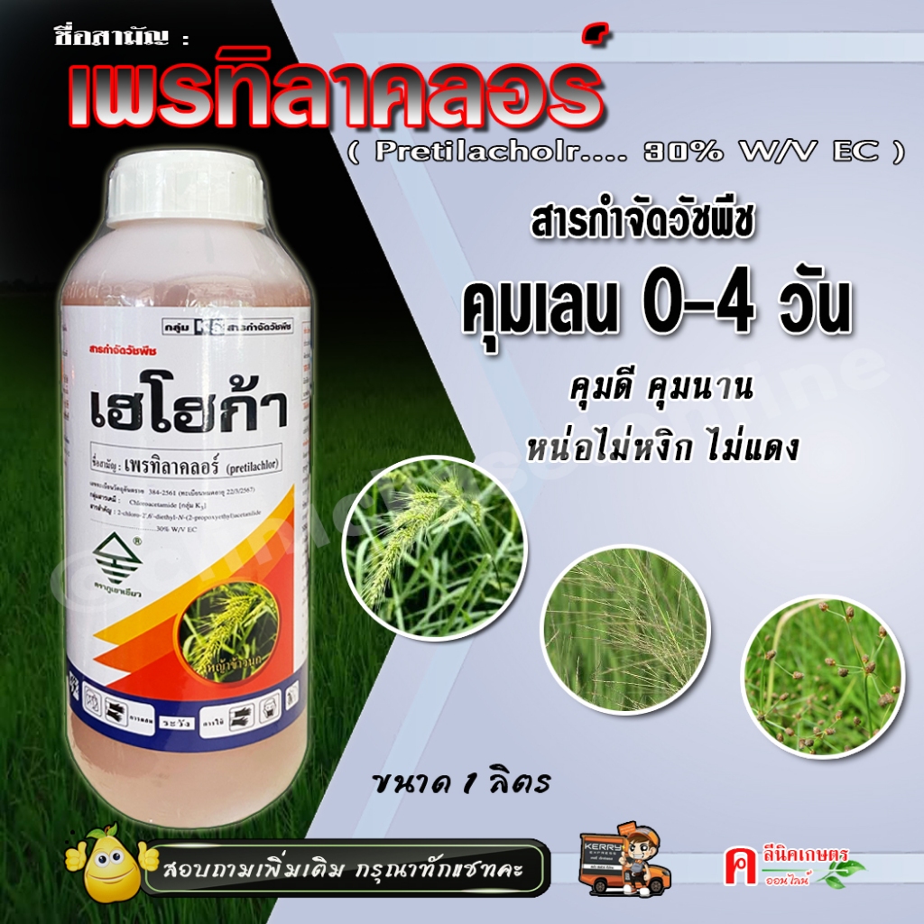 เฮโฮก้า เพรทิลาคลอร์ 30% ใช้กำจัดวัชพืช คุมเลน ในนาข้าว 0-4 วัน กำจัดวัชพืชประเภทใบแคบ ใบกว้าง