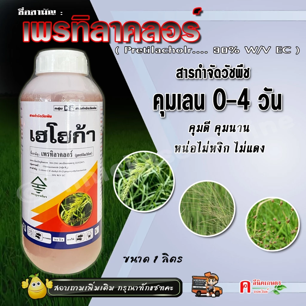 เฮโฮก้า เพรทิลาคลอร์ 30% ใช้กำจัดวัชพืช คุมเลน ในนาข้าว 0-4 วัน กำจัดวัชพืชประเภทใบแคบ ใบกว้าง