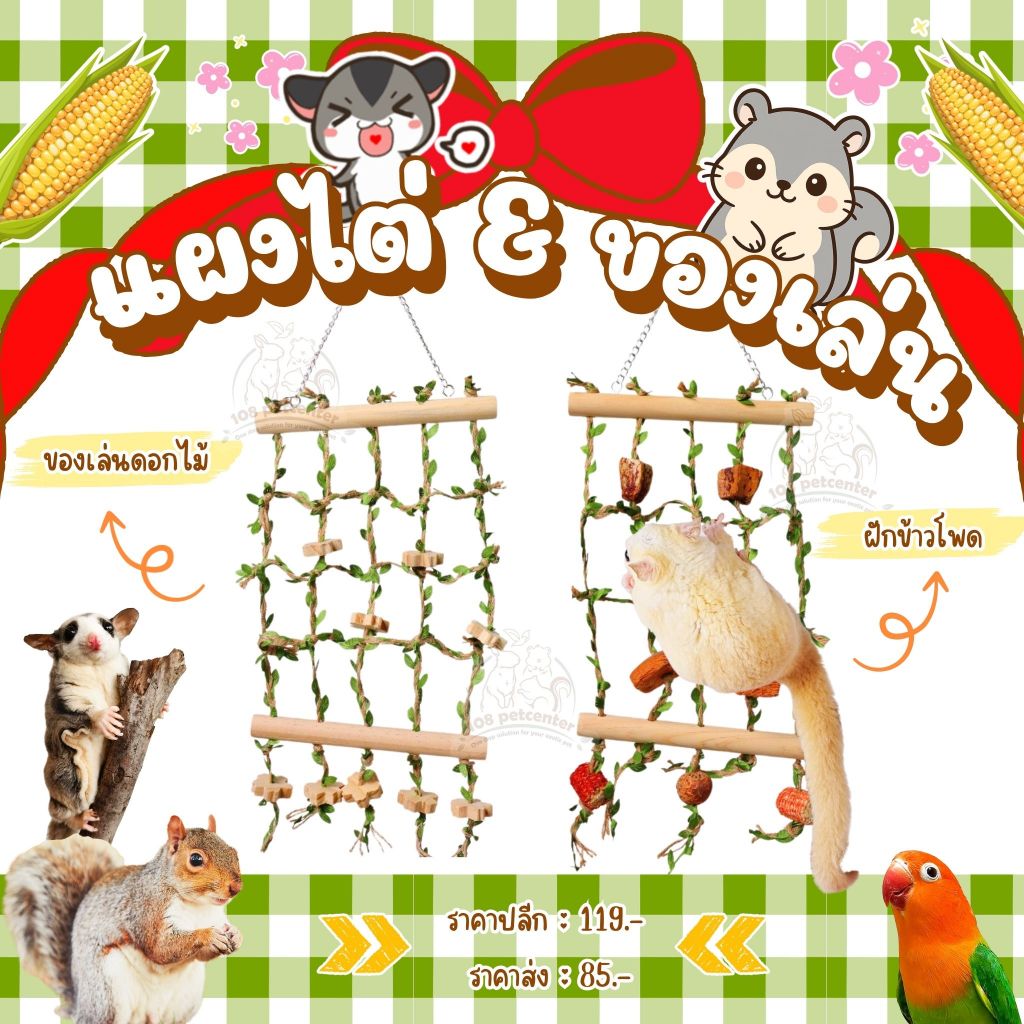 ของเล่นชูก้าร์ไกลเดอร์ กระรอก นกแก้ว แผงไต่พร้อมของเล่น ของเล่นสัตว์เล็ก