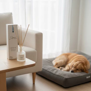 ก้านไม้หอม Pet Friendly [Sunrise Tea] หอมสดชื่นน้ำหอมปรับอากาศในบ้านปลอดภัยต่อหมาแมวไม่ฉุนไม่แสบจมูก
