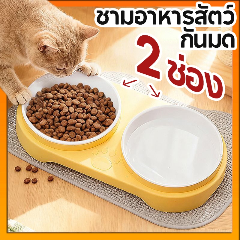 ชามอาหารสัตว์กันมด 2 ช่อง สำหรับน้องหมาน้องแมว พลาสติกปลอดภัย ความจุใหญ่ ถอดล้างง่าย เลือกสีได้
