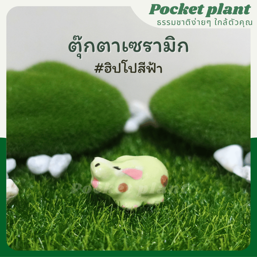 มุมมอง 4