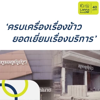 Platinum / Natural World (10ลิตร) ทรายแมว แพลทตินั่ม / เนเจอรัลเวิลด์ 10Lx1ถุง // 5Lx2ถุง (ขอสงวนสิทธิ์เลือกส่ง 5/10L)