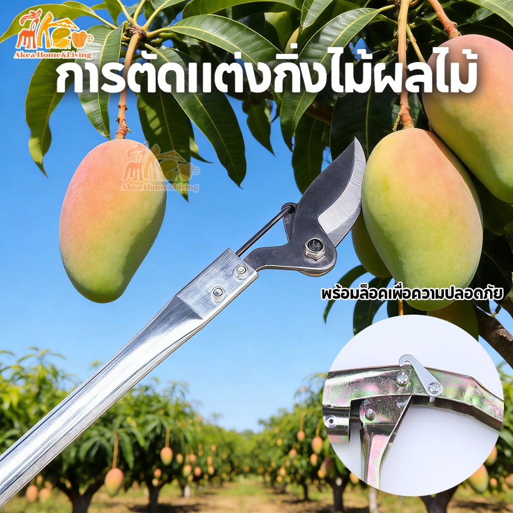 กรรไกรตัดแต่งกิ่ง  กรรไกรตัดกิ่งไม้สูง  ด้ามยาว 1.5 M ใบมีดคม ทนทาน ด้ามจับยาว กรรไกรเก็บผลไม้ กรรไกรเก็บผลไม้