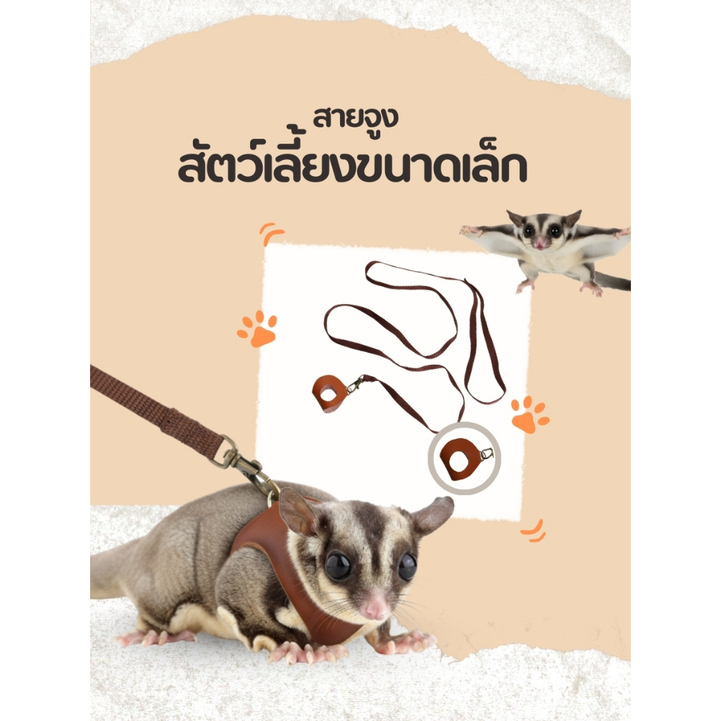ชุดสายจูงสัตว์เลี้ยงขนาดเล็ก ชูการ์ไกลเดอร์ แฮมสเตอร์ กระรอก สายรัดอก 3 ไซส์ + สายจูง 150 ซม. | 4 สี