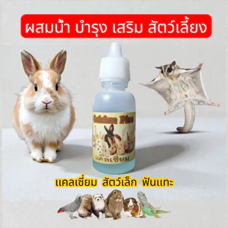 50 cc วิตามินสำหรับสัตว์เล็ก สำหรับสัตว์เล็กและสัตว์ฟันแทะ ส่งด่วนทุกวันจร้า