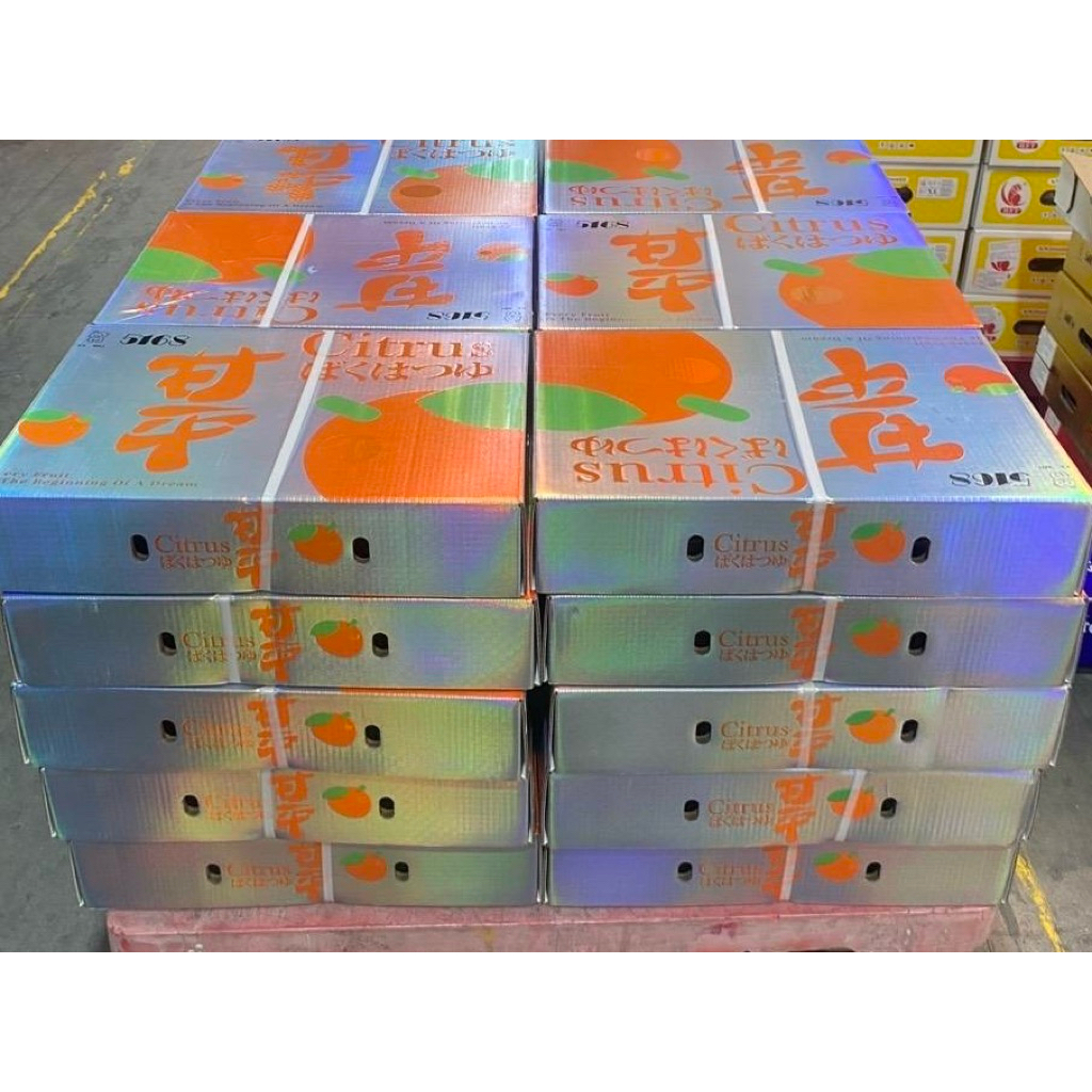 ส้มมิกัง ส้มสายพันธ์ญี่ปุ่น Mikan (ตรา FAMO 5168 กล่องสีทอง) 10-12 ลูก น้ำหนักรวมกล่อง 4 กิโลกรัม - รูปที่ 3