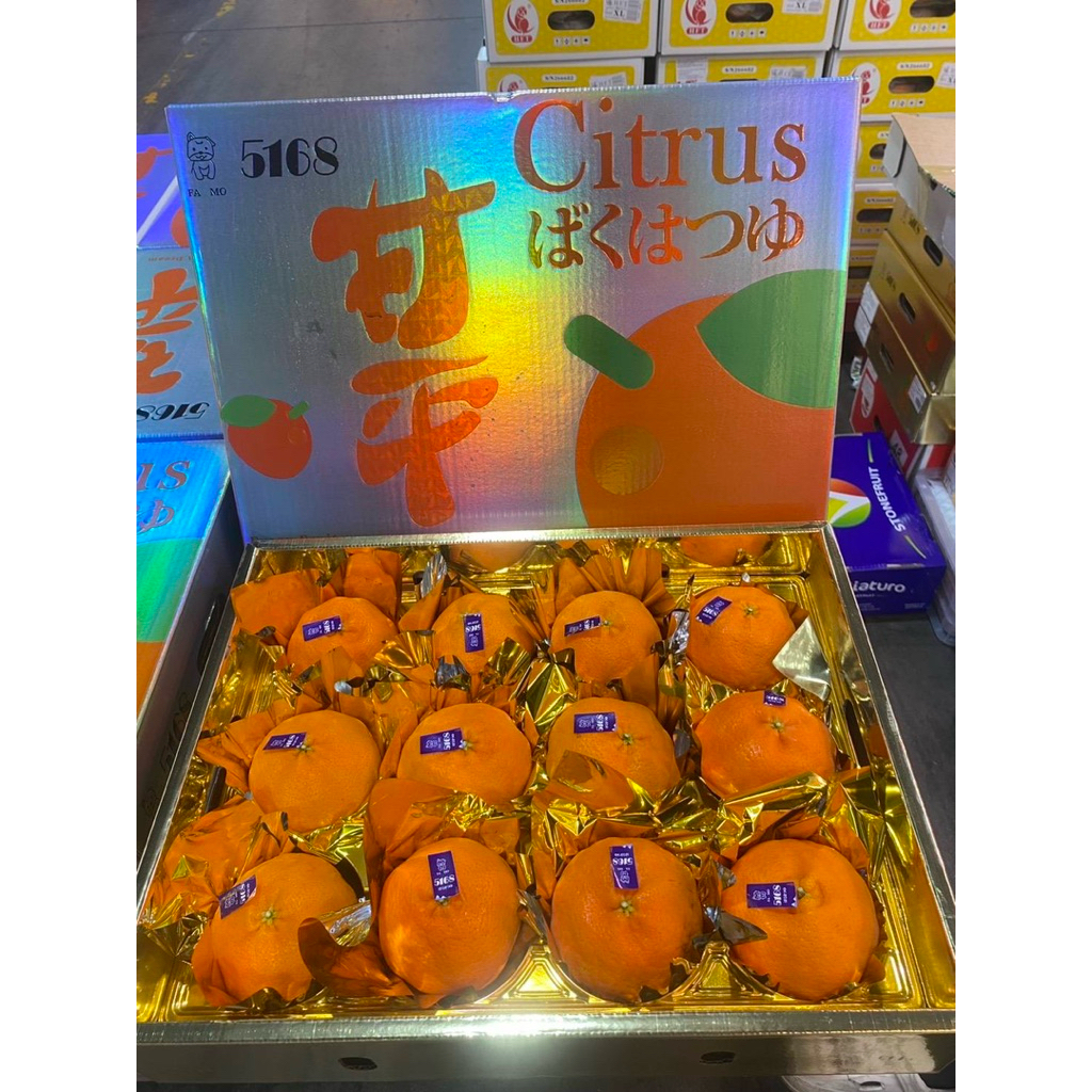 ส้มมิกัง ส้มสายพันธ์ญี่ปุ่น Mikan (ตรา FAMO 5168 กล่องสีทอง) 10-12 ลูก น้ำหนักรวมกล่อง 4 กิโลกรัม - รูปที่ 4