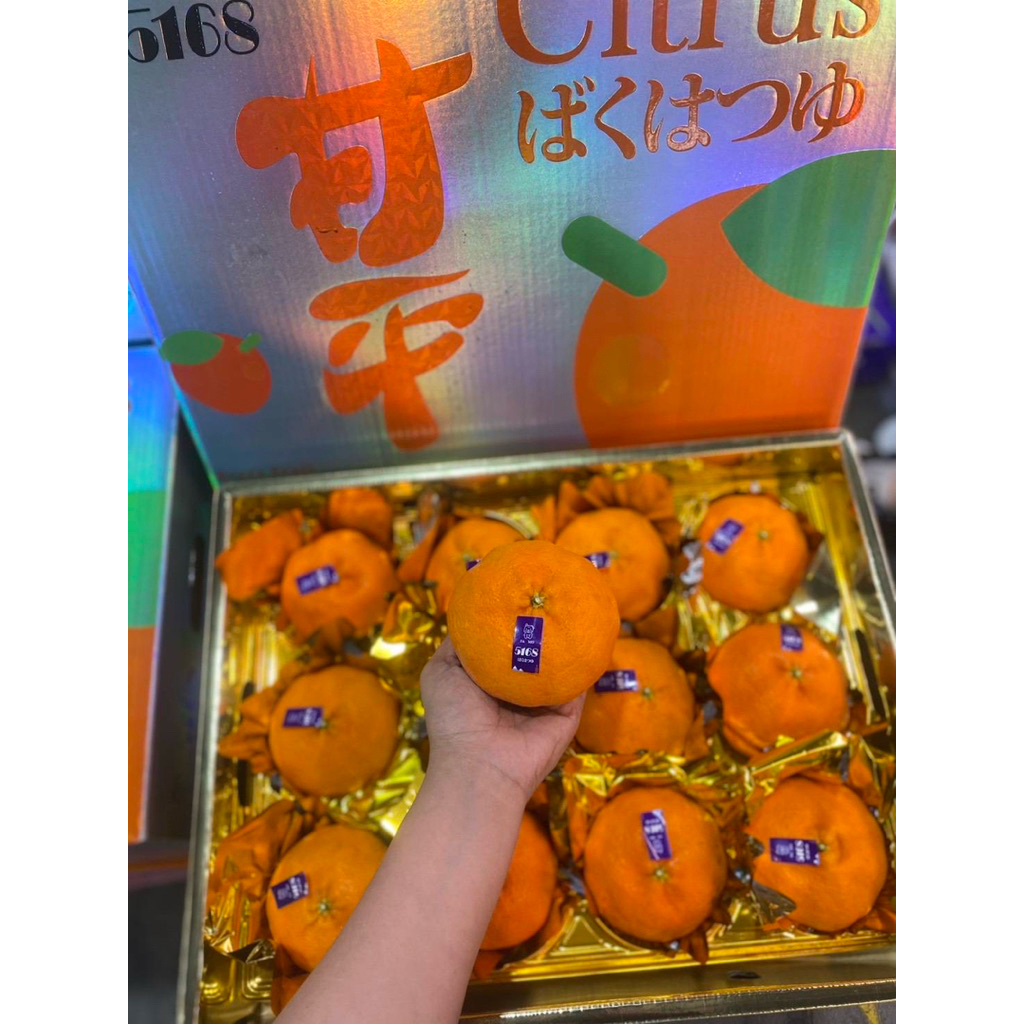 ส้มมิกัง ส้มสายพันธ์ญี่ปุ่น Mikan (ตรา FAMO 5168 กล่องสีทอง) 10-12 ลูก น้ำหนักรวมกล่อง 4 กิโลกรัม - รูปที่ 6