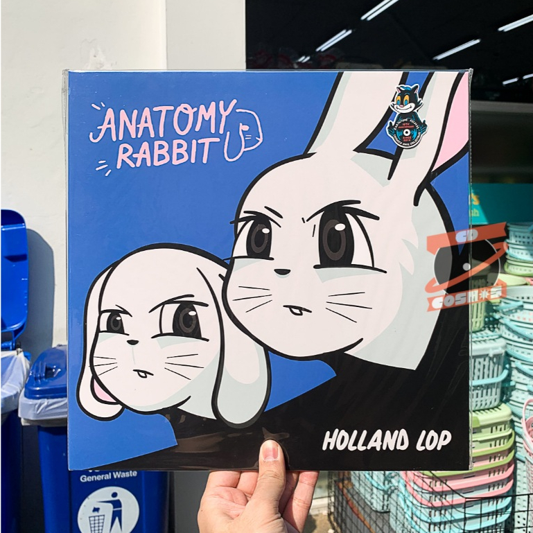 แผ่นเสียง Anatomy Rabbits – Holland Lop (Blue / White Split Vinyl)