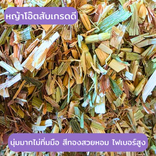 Happy Hay หญ้าโอ๊ตสีทองสับ (1 กก.) สำหรับสัตว์ฟันแทะ หวานหอม อร่อย นุ่มมาก