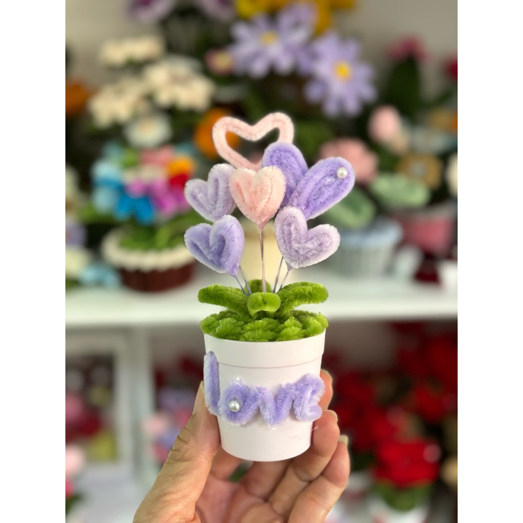 กระถางหัวใจวาเลนไทน์ - รูปที่ 2