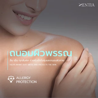 ZENTIA ชุดผ้าปู + ผ้านวม ผ้าแพรพรีเมี่ยมทอลายริ้ว ลื่นเย็นสบายทุกสัมผัส กันไรฝุ่นรุ่น NC