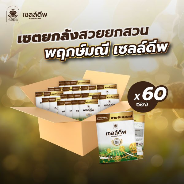 เซตยกลัง พฤกษ์มณี เซลล์ดีพ ขนาด30CC X60 ซอง ตัวช่วยเพิ่มการดูดซึมพืชใช้ร่วมกับ ปุ๋ย