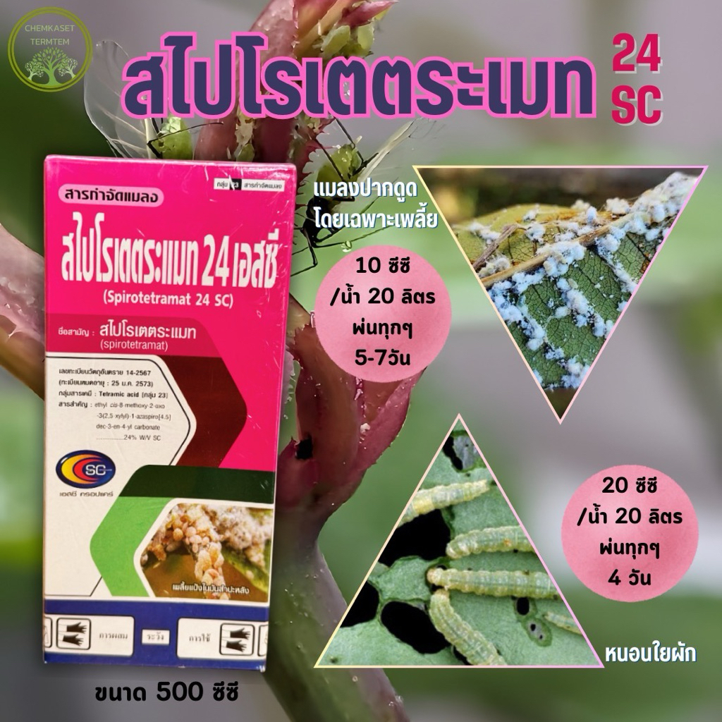 สไปโรเตตระเมท 500 ซีซี☘️สไปโรเตตระเมท(spirotetramat) 15%OD กำจัดเพลี้ยแป้งเพลี้ยหอย แมลงหวี่ขาว หนอน เพลี้ยอ่อน หนอน