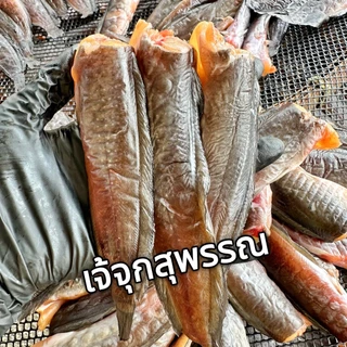 ปลาดุกกลม ดุกนา ดุกเล็ก แพค 500 g ไซส์เล็ก ตากแดดเดียว