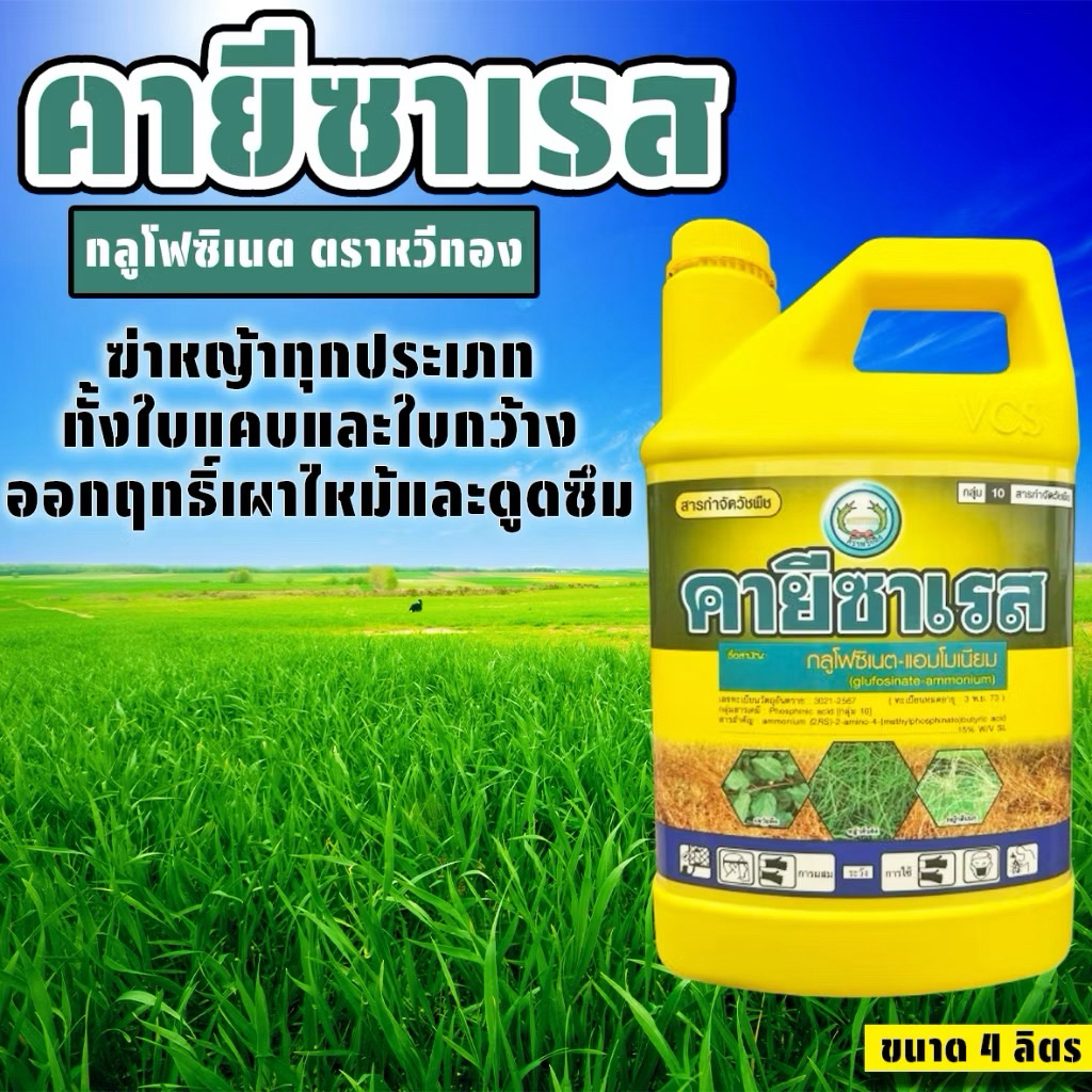 กลูโฟซิเนต-แอมโมเนียม กำจัดหญ้า เผ้าไหม้ ตราหวีทอง คายีซาเรส กำจัดหญ้าใบแคบ หญ้าใบกว้างปลอดภัยกับราก