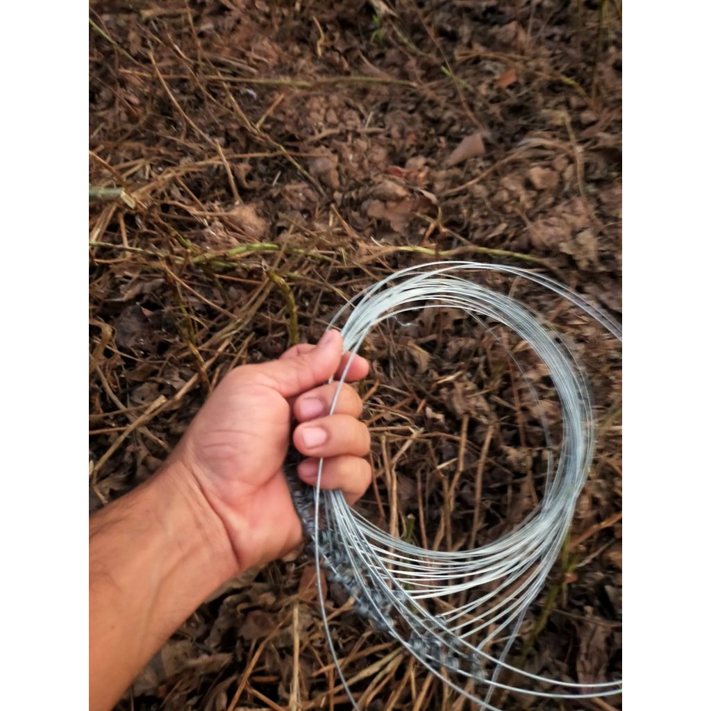 บ่วงดักกระต่าย1ชุดมี30บ่วงยาว3เมตร