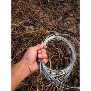 บ่วงดักกระต่าย1ชุดมี30บ่วงยาว4เมตร