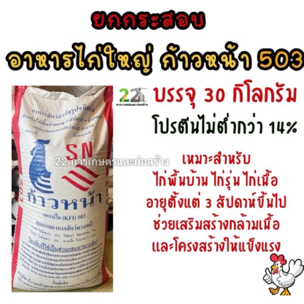 ยกกระสอบ อาหารไก่ใหญ่ ก้าวหน้า 503 ขนาดบรรจุ 30 กิโลกรัม