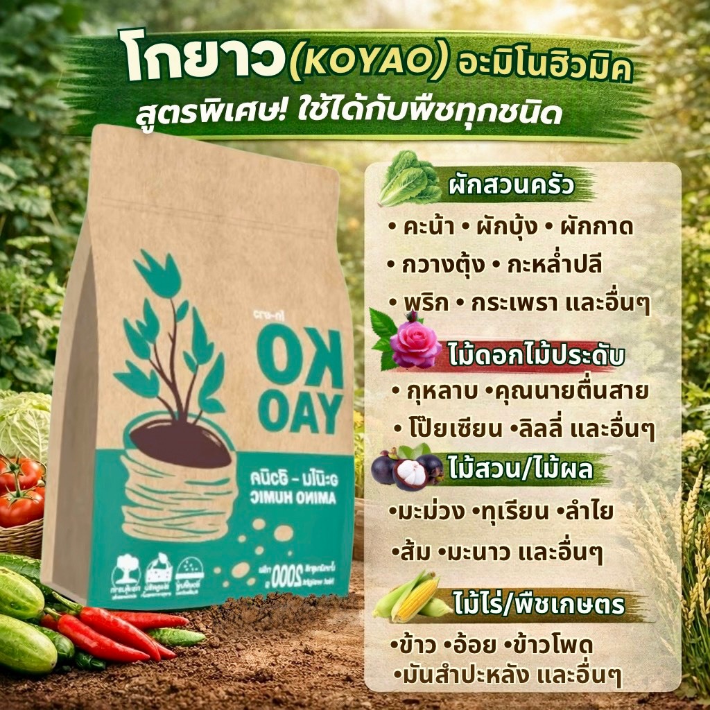 ปุ๋ยบำรุงพืช โกยาว Amino Humic สูตรพิเศษ สำหรับต้นไม้ ฟื้นฟูดิน แตกยอดแรง ใบเขียว สำหรับพืชทุกชนิด .