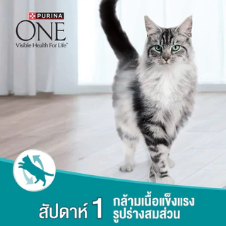 [ถุง2.7kg] Purina One ขนาด 2.7 กก. อาหารแมว เพียวริน่า วัน มีครบทุกสูตร EXP 2027