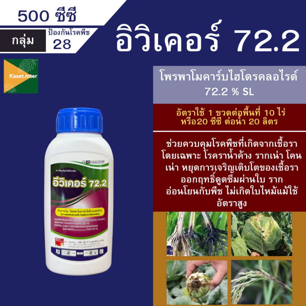 อิวิเคอร์72.2 (โพรพาโมคาร์บไฮโดรคลอไรด์ 72.2%) 500ซีซี กำจัดโรคเน่าคอดิน ใบแห้ง ใบเน่า