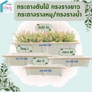 กระถางรางยาว กระถางรางหมู สีขาว และสีดำ เนื้อหนา แข็งแรง มี 4 ขนาด เล็ก กลาง ใหญ่ จัมโบ้