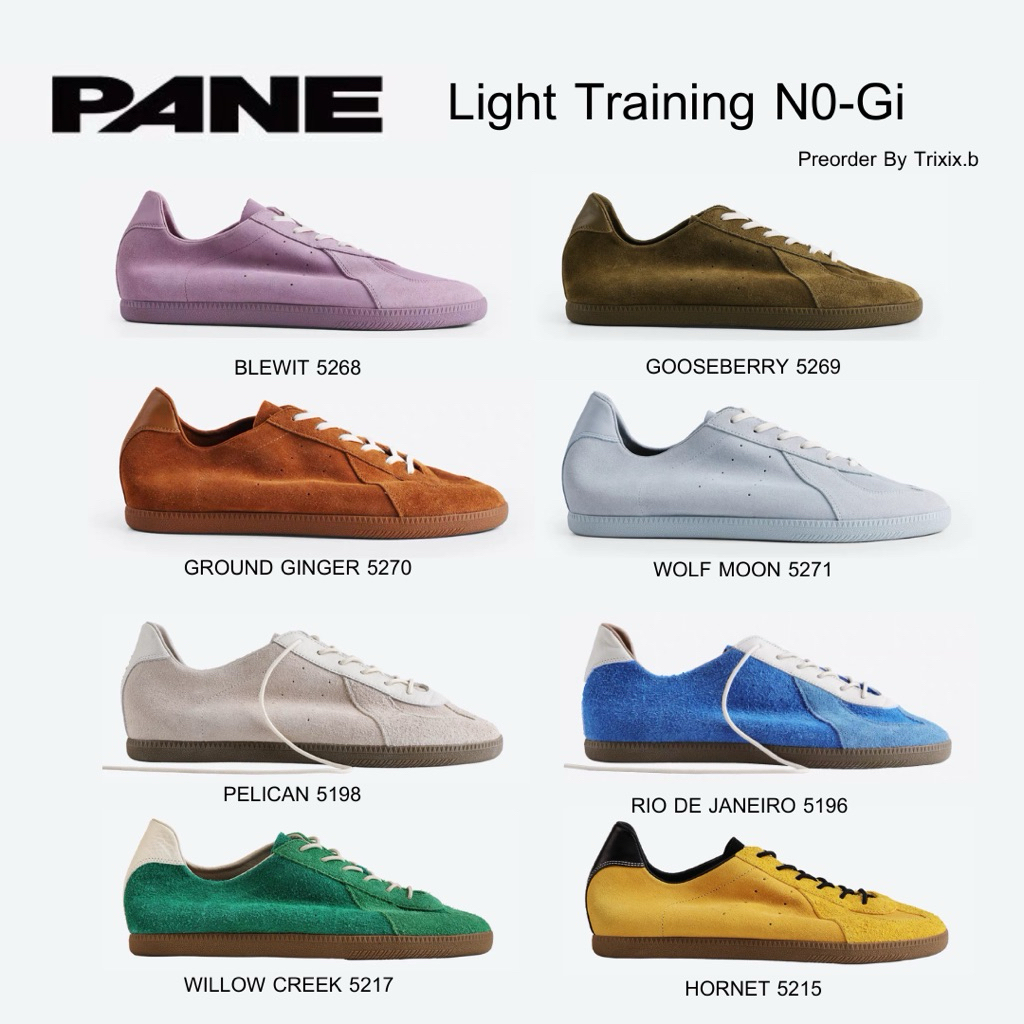 พร้อมส่ง/พรีออเดอร์ PANE - รุ่น Light Training No-Gi