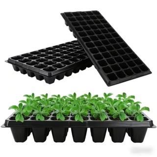 ถาดปลูกต้นไม้สำหรับเรือนเพาะชำ - มีหลายขนาดให้เลือก ตั้งแต่ …
