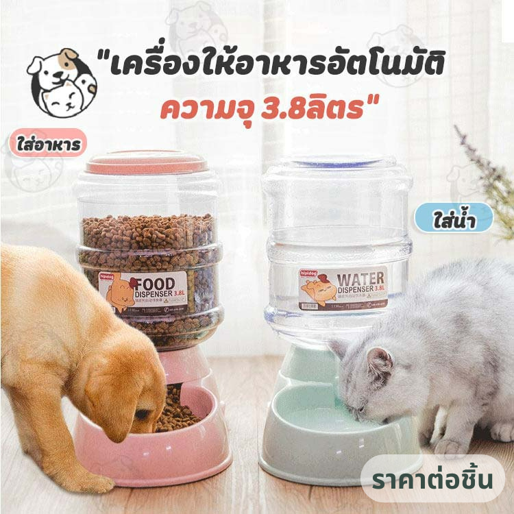 เครื่องให้อาหารแมวอัตโนมัติ  เครื่องให้อาหาร ชามข้าวแมว  ถ้วยอาหารแมว ขนาดใหญ่ ราคาถูก  WO