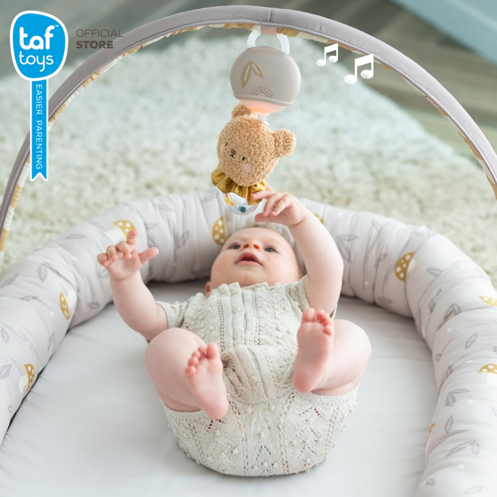 Taf Toys ที่นอนเด็กแรกเกิด Little Explorer Lounger เบาะฝึกคว่ำ ของเล่นเสริมพัฒนาการ 0 เดือน ขึ้นไป รูปที่ 2