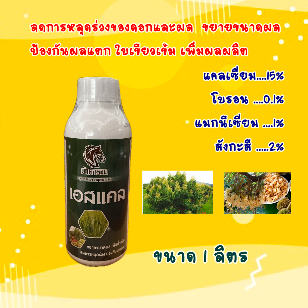 เอสแคล ขนาด 1ลิตร (แคลเซียม 15% + แมกนีเซี่ยม 1% + สังกะสี 2% + โบรอน 0.1%) น้ำใส อาหารเสริมพืช ป้องกันผลแตก ลดการหลุดร่