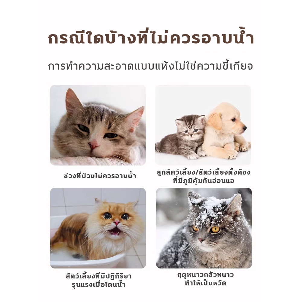 โฟมอาบน้ำแห้งสัตว์เลี้ยง ลดการสะสมของแบคทีเรีย แชมพูแห้งสุนัข ไม่ต้องล้างออก แห้งเร็ว บำรุงขน แชมพูแห้งแมว - รูปที่ 2