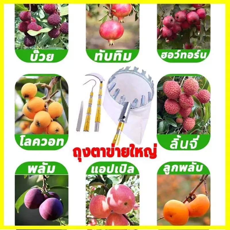 ตะกร้อสอยผลไม้ ด้ามยืดหดได้ 5/7/10M ถือไว้ไม่เหนื่อย ไม่ทำร้ายผลไม้ ที่สอยผลไม้ ที่สอยมะม่วง ไม้สอยผลไม้ ที่สอยผลไม้สูง - รูปที่ 7