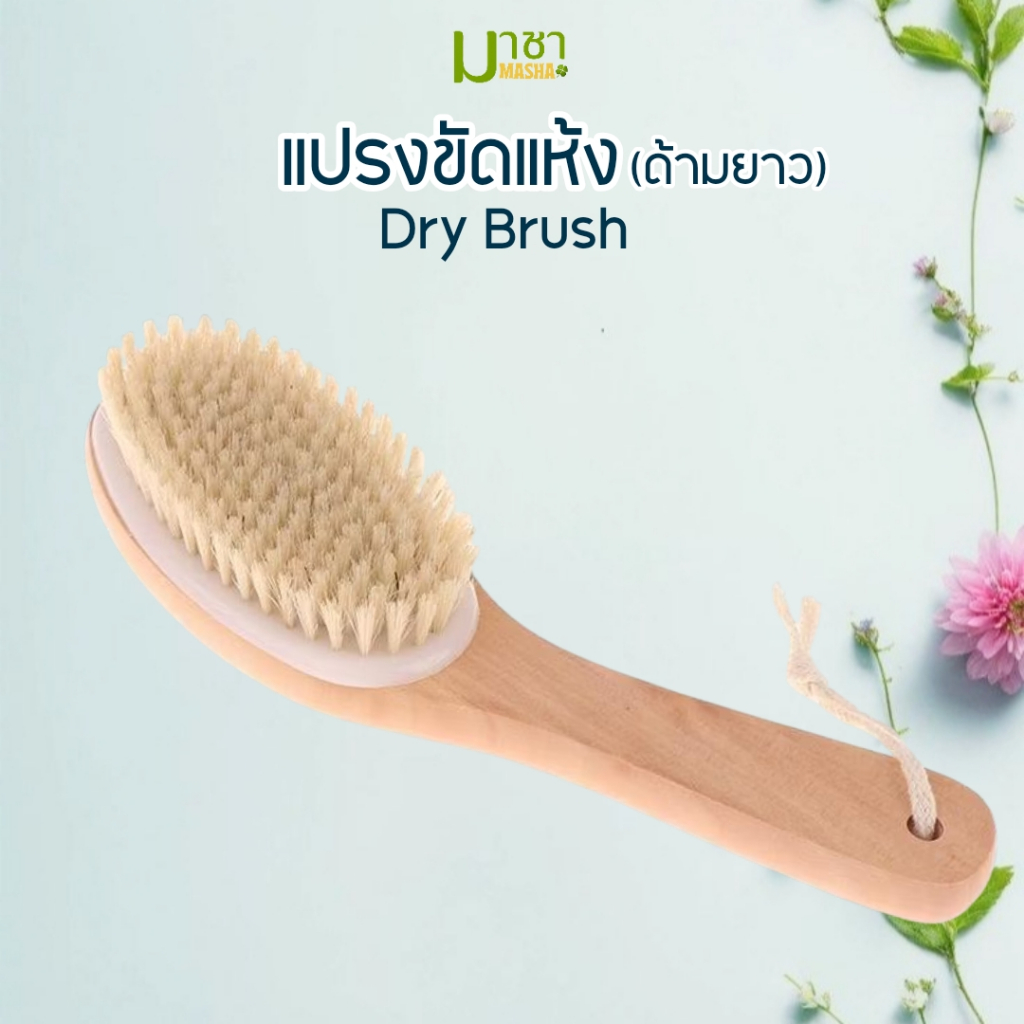มาชา แปรงแห้ง ขัดผิว dry brush แปรงขัดแห้งแบบด้ามงอ