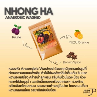 เมล็ดกาแฟคั่วอ่อน หนองห้า พะเยา Anaerobic Washed หอมลูกพรุน องุ่น ส้ม เปรี้ยวอมหวาน สะอาด | Jiddy Roasters