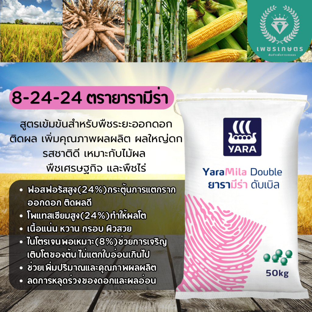 ปุ๋ย 8-24-24 ตรายารามีร่า แบ่งขาย | ใช้กับพืชทุกชนิด เร่งดอก ติดผล เพิ่มคุณภาพผลผลิต