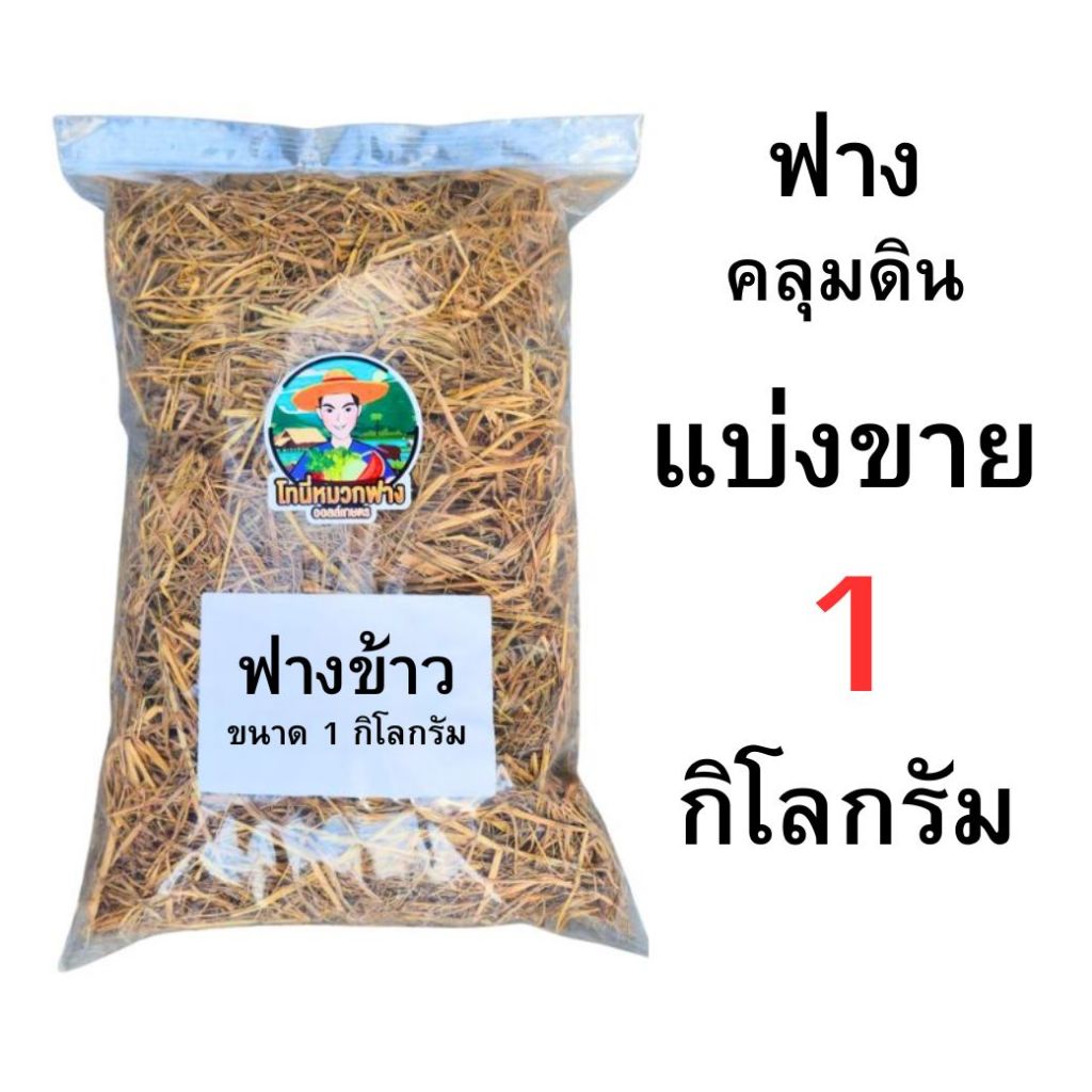 ฟาง  ฟางแห้ง ฟางคลุมดิน 100 กรัม - 1 กิโลกรัม คุณภาพดี ราคาถูก