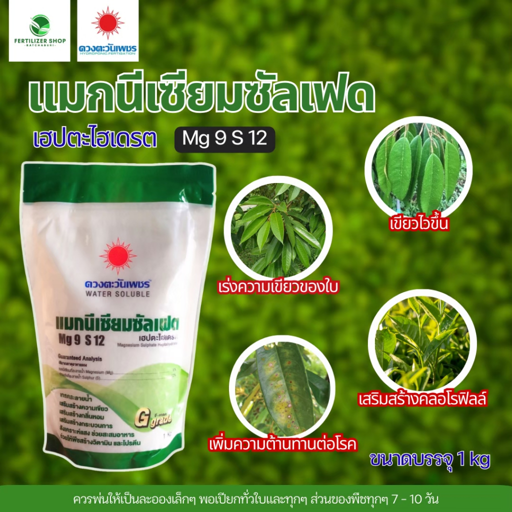 แมกนีเซียมซัลเฟต MgSO4 (แบรนด์) ขนาด 1kg ดวงตะวันเพชร.